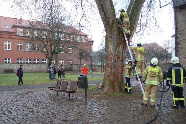 POL-STH: Unbekannte setzen alte Platane in Brand