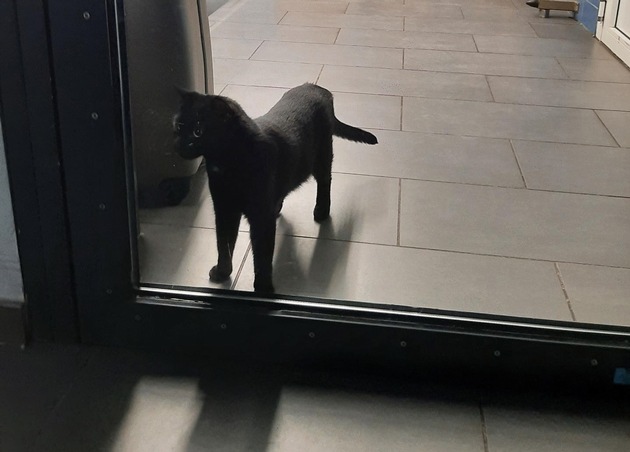 Bundespolizeidirektion München: Tierischer Einsatz am Hauptbahnhof / Bundespolizei hilft Mensch und Tier