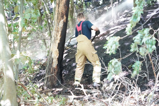 FW Dresden: Brand gelöscht - Nachlöscharbeiten beim Waldbrand waren erfolgreich