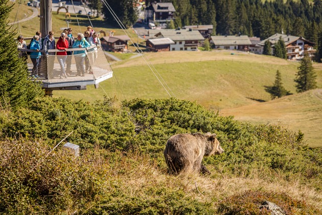 Das Arosa Bärenland feiert bärenstarkes, 5-jähriges Jubiläum