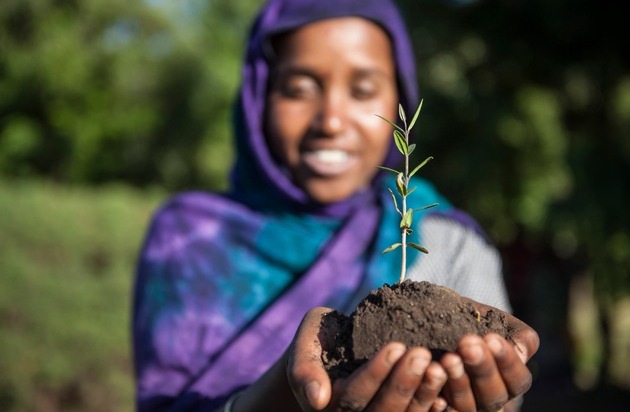 Stiftung Menschen für Menschen: Stiftung Menschen für Menschen startet Kampagne: Zwei Millionen neue Baumsetzlinge für Äthiopien bis Weihnachten