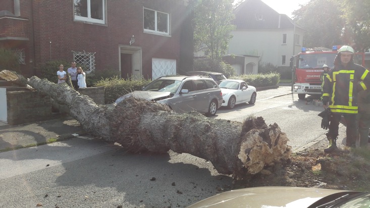 FW-BO: Umgestürzter Baum beschädigt PKW im Drosselweg