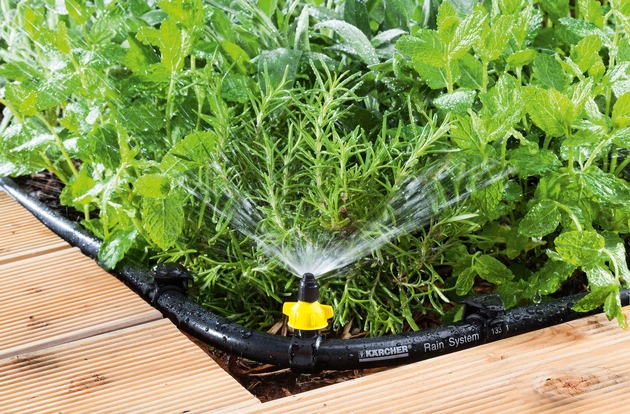 Pressemitteilung: Versorgung von Balkonpflanzen und Beeten während der Urlaubszeit