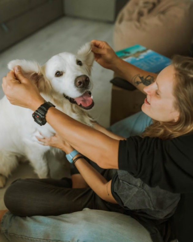 Maßgeschneidert und mit optimalem Preis-Leistungsverhältnis: Luko bringt neue Tarife für Tierversicherungen auf den Markt