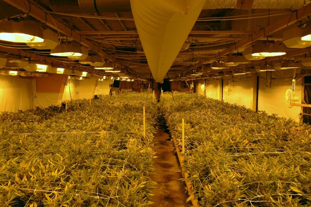 POL-NOM: Cannabisplantage in ehemaligem Fabrikgelände entdeckt - Bilder im Anhang