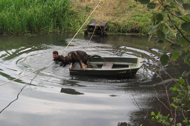 POL-NI: Wettkampf der Polizeihunde und der Diensthundführer - -Bilder im Download-