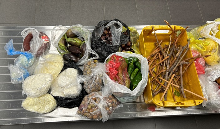 HZA-SB: Verbotene Lebensmittel im Reisegepäck/Rund 50 Kilogramm aus dem Verkehr gezogen