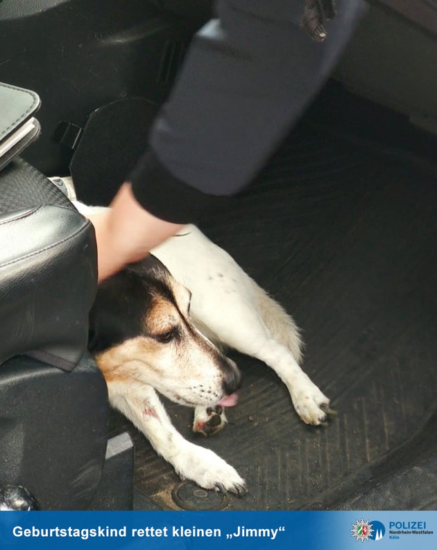 POL-K: 210826-1-K Hundeleine verfängt sich in Stadtbahntür - Geburtstagskind rettet Hund und verletzt sich dabei