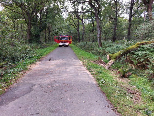 FW Hünxe: Straße durch umgestürzten Baum blockiert