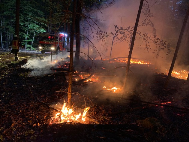 FW-BN: Waldbrand in der Bonner Waldau