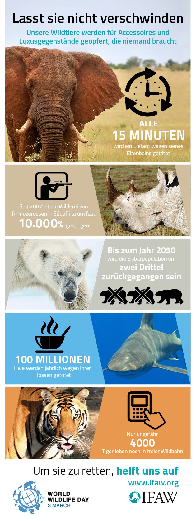 Unsere Artenvielfalt schmilzt dahin - IFAW-Aktion zum Welt Wildtier Tag 2015