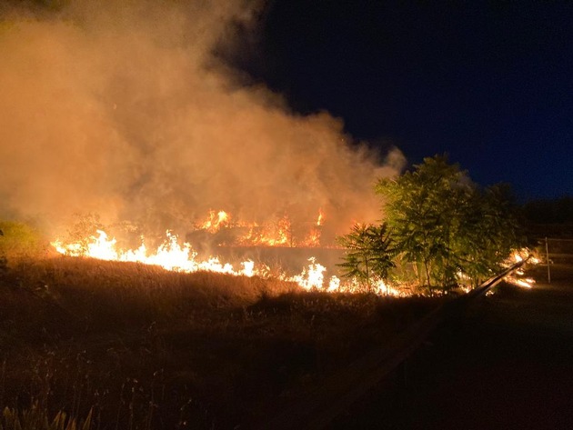 FW Frankenthal: Zwei große Flächenbrände im Stadtgebiet Frankenthal