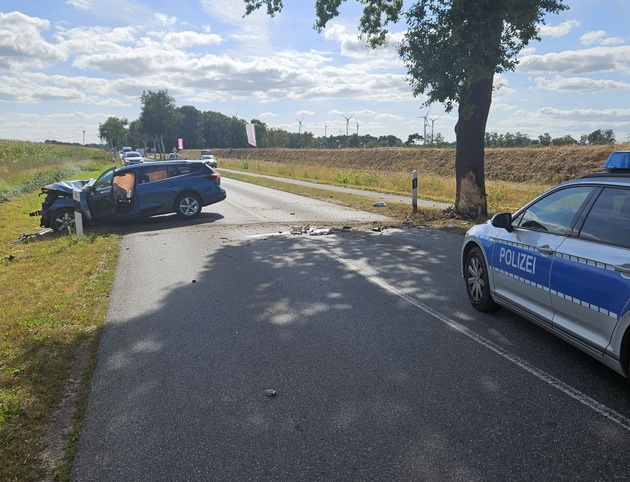 POL-STD: Reh ausgewichen und gegen Baum geprallt