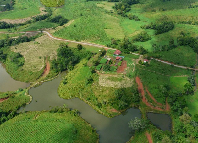 DBU: Tropenwald - Datenbasierte Vorhersage schont Boden, Klima und Geldbeutel