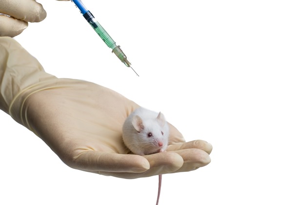 An «Nestlé-Botox» klebt das Blut tausender Mäuse