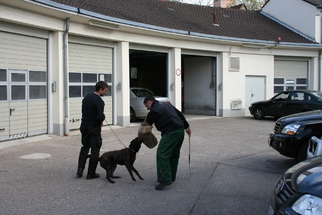 POL-HM: Polizeiinspektion Hameln informiert 45 Kinder und Jugendliche am Zukunftstag 2010