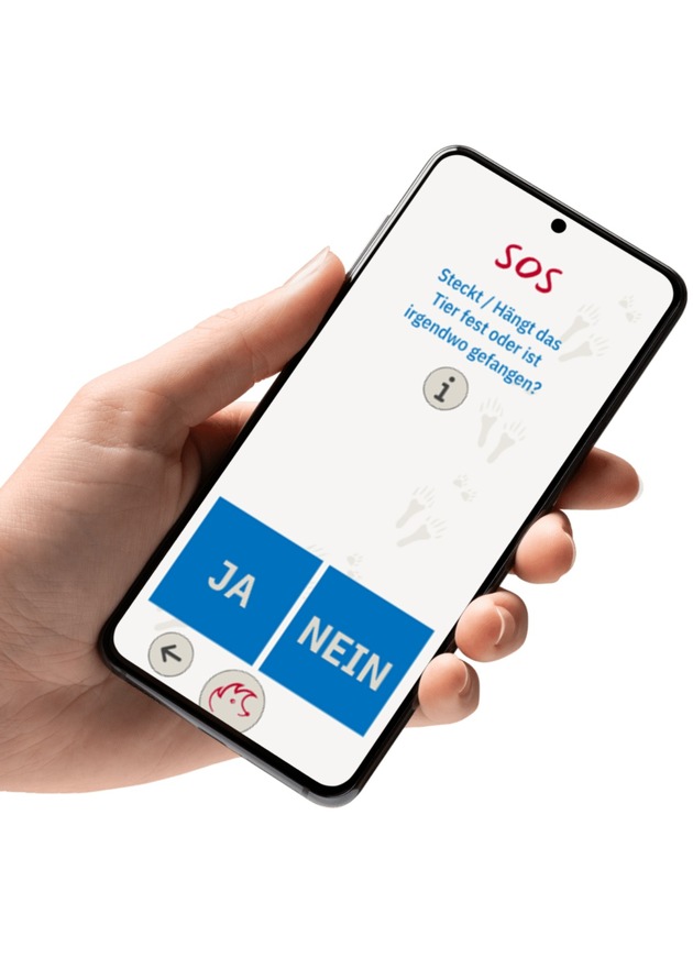 DBU: Schnelle Hilfe f&uuml;r Wildtiere per App