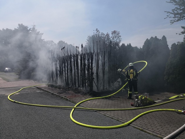 FW-WRN: FEUER_1 - brennt Hecke