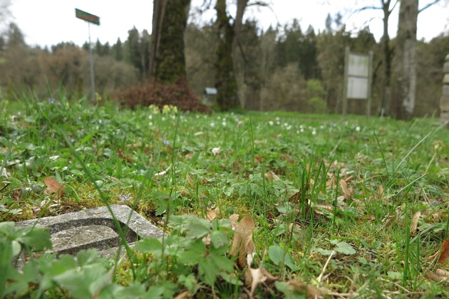 Veranstaltungshinweis und Presseeinladung: Gärten als Orte des Lernens, Nachdenkens, Gedenkens und Erinnerns