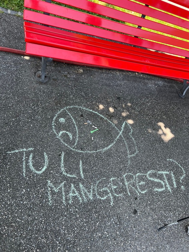 Comunicato stampa: &laquo;Locarno: con umorismo contro il littering&raquo;