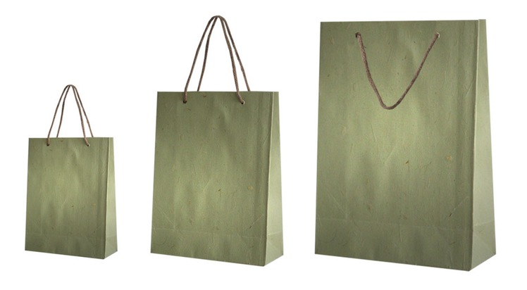 Umweltfreundlich und nachhaltig: Wie Gras zum neuen Rohstoff für Papiertaschen wird