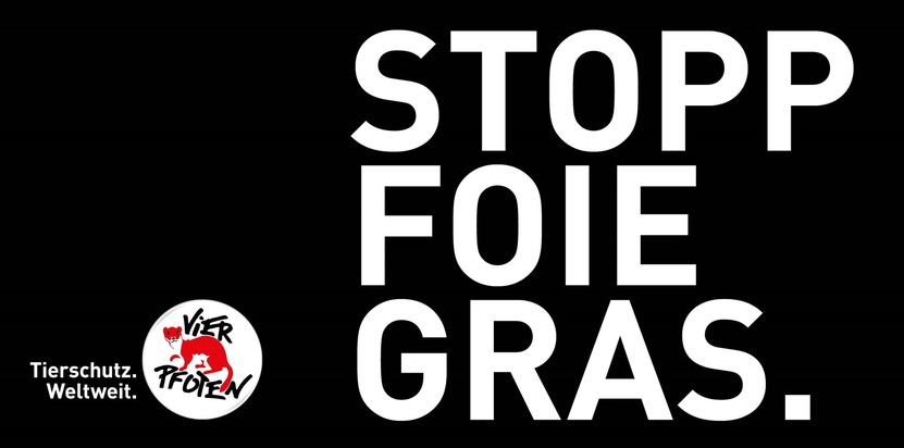 Welttag gegen Foie Gras: Könnten Sie täglich zwölf Kilo Spaghetti essen?