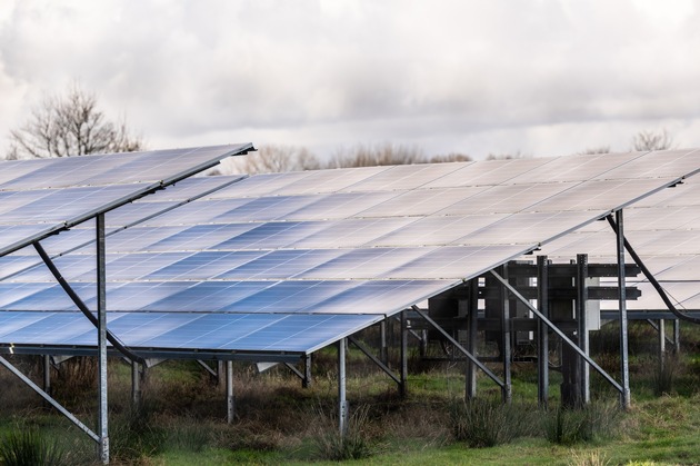 Photovoltaik: Landesjagdverband setzt Maßstäbe für Solarparks