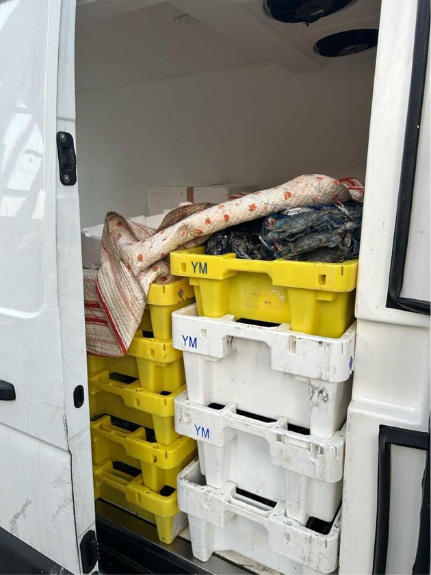 HZA-DA: Über 700 Kilogramm Krebstiere ohne Nachweise - Zoll untersagt Weitertransport