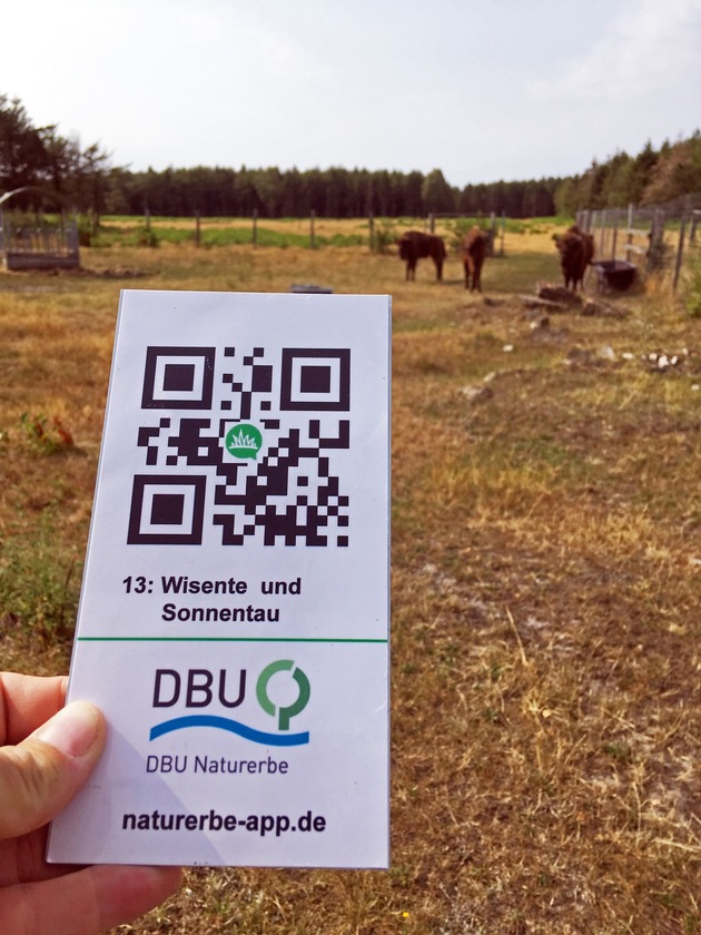 Naturerbe-App führt über DBU-Naturerbefläche Cuxhavener Küstenheiden