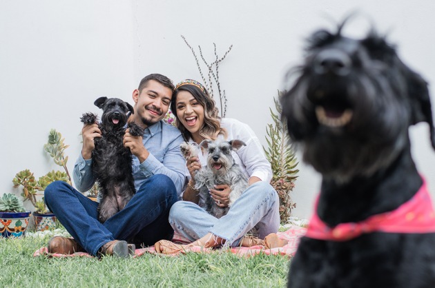 Namen machen Hunde: Umfrage von tails.com zeigt, wie Hundenamen das Leben auf vier Pfoten prägen