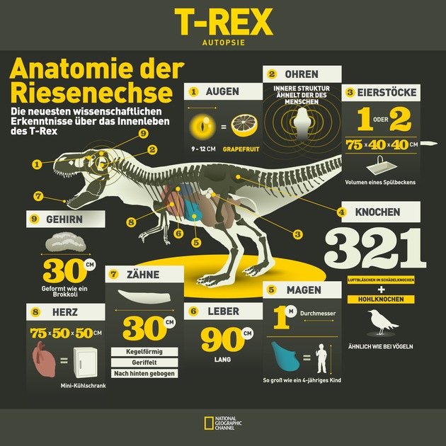 Neun Tonnen Muskeln, Krallen, Knochen und Reißzähne: National Geographic Channel geht in der &quot;Dino Week&quot; ab 7. Juni auf spektakuläre Reise ins Reich der Urzeitgiganten