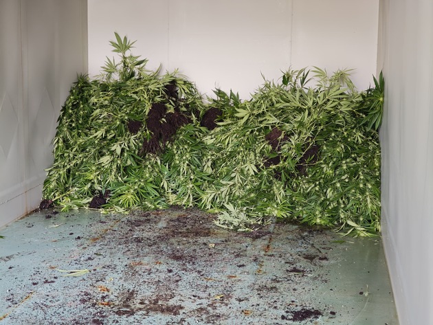 POL-UN: Bergkamen - Polizei entdeckt Cannabisplantage in Lagerhalle