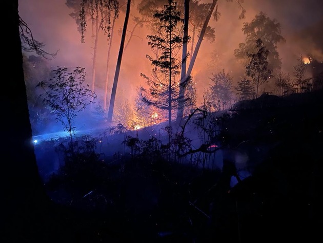 FW Ratingen: Größerer Waldbrand in unzugänglichem Gelände - Folgemeldung