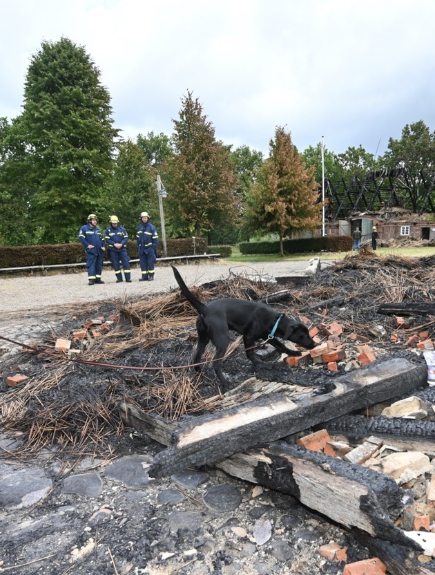 POL-KI: 240827.1 Kiel: Update zur Brandmittelspürhündin Naira