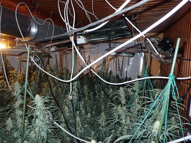 POL-ESW: Eschweger Kripo klärt Einbruchsserie und hebt Cannabisplantage aus