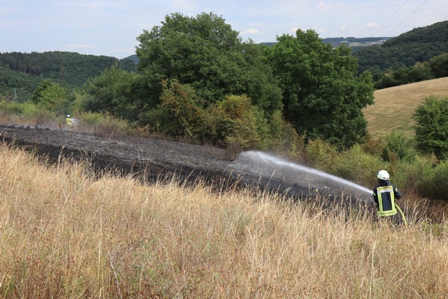 FW VG Asbach: Flächenbrand bei Dinkelbach: 1.200 Quadratmeter Gebüsch und Wiese brennen