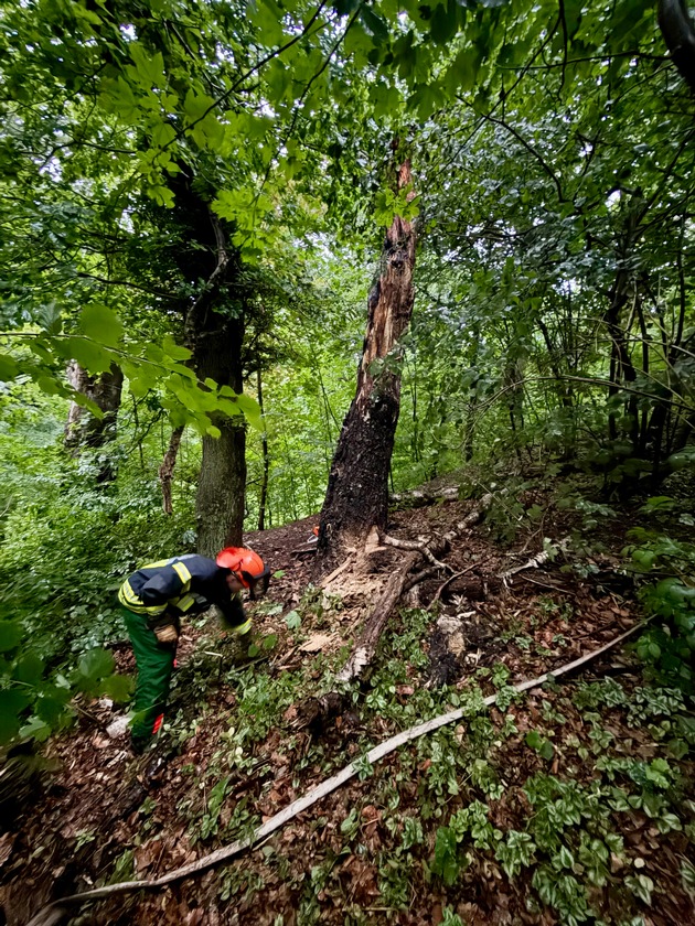 FW-MK: Unruhiger Sonntagmorgen f&uuml;r die Feuerwehr Iserlohn