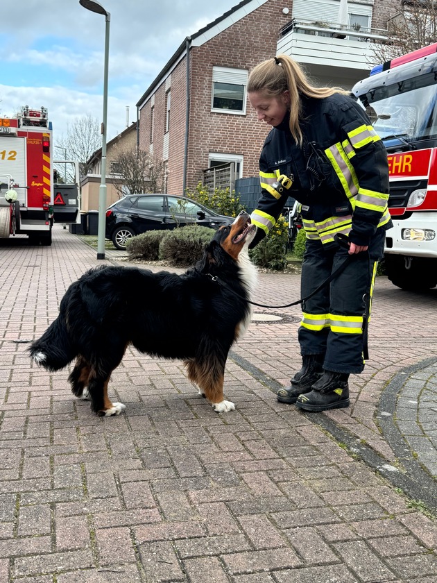 FW Dinslaken: Hund nach Kellerbrand wohlauf