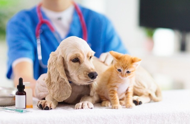 CosmosDirekt: CosmosDirekt erweitert Angebot um Tierkrankenversicherung