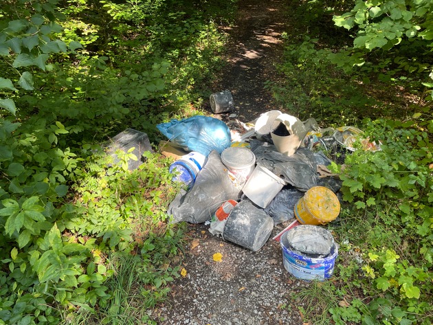 LPI-NDH: Ablagerung im Wald
