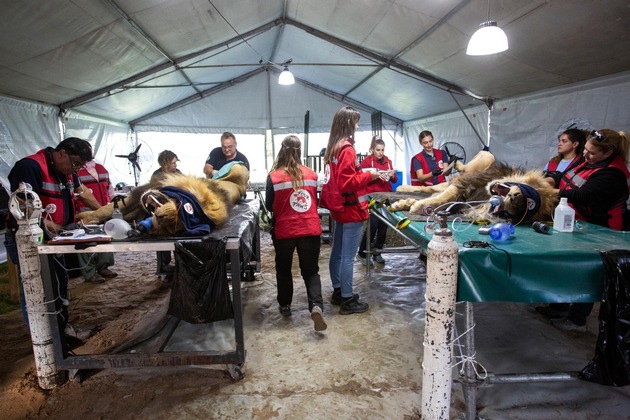 Historische tierärztliche Untersuchung in Argentinien abgeschlossen