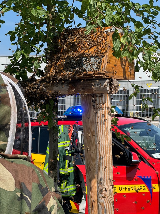 FW-OG: Tierischer Flugtag bei der Feuerwehr