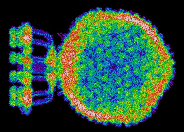 Kasseler Forschungsteam ermöglicht Quantenrechnungen für biologische Großsysteme