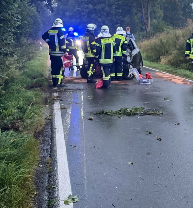 POL-SO: Rehe auf der Straße - Auto überschlägt sich