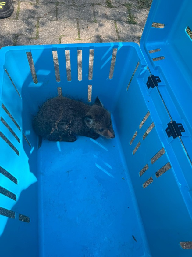 FW Stuttgart: Fuchs-Rettung in Stuttgart-Hohenheim