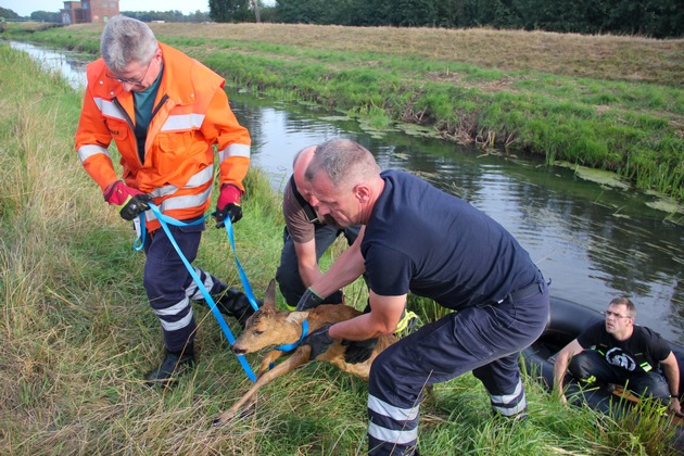 FW Lüchow-Dannenberg: +++Reh fällt in Kanal+++aufmerksamer Bürger alarmiert die Feuerwehr+++Reh mit Schlauchboot gerettet+++