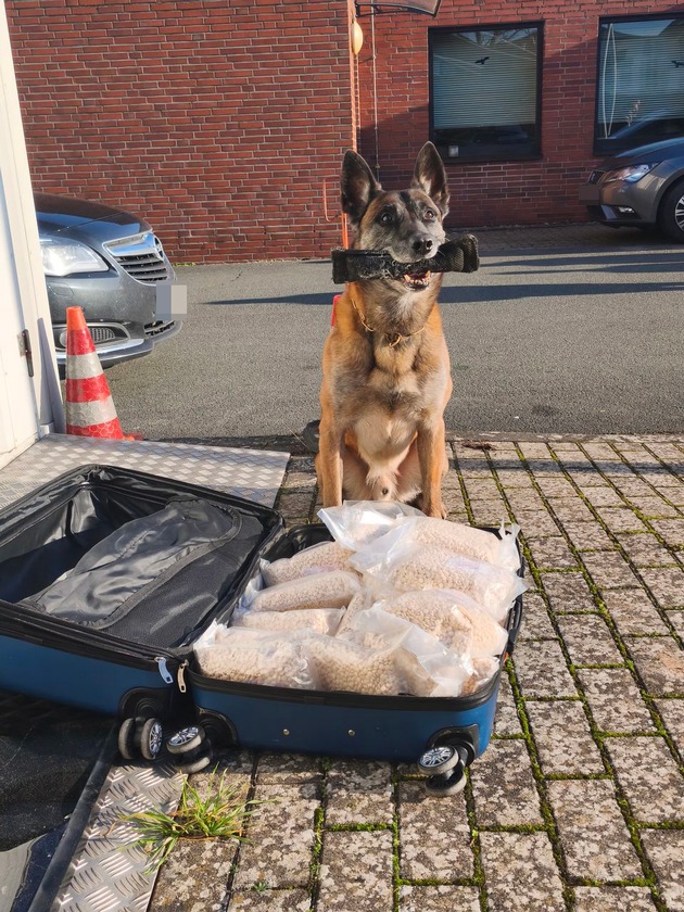 POL-HX: Polizeihund "Lemmy" erschn&uuml;ffelt 65 Kilogramm Drogen-Pillen