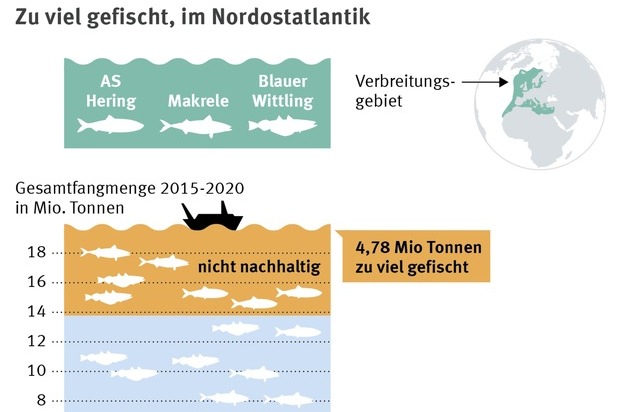 Marine Stewardship Council (MSC): Europas Regierungen forcieren zu starke Befischung des Nordostatlantiks / Eine nachhaltige Quotenregelung muss endlich her