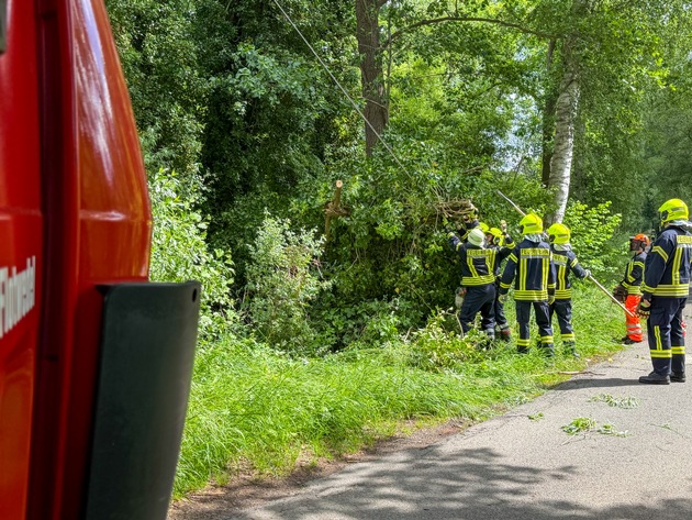 FW Flotwedel: Baum blockiert Fahrbahn und Telefonleitung im Lütersweg
