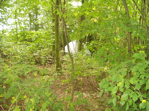 POL-D: Entwichener Strafgefangener begeht Wohnungseinbrüche im Düsseldorfer Norden - Ermittler heben Basislager im Wasserschutzgebiet Einbrungen aus Fotos vom &quot;Lager&quot; als Anlage beigefügt